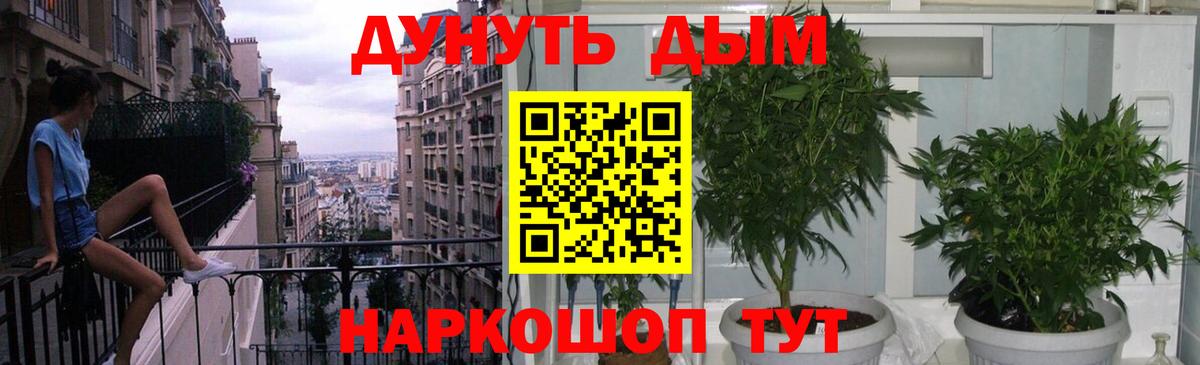 Бошки Шишки планчик  Канабис SATIVA & INDICA  Марихуана MAZAR  Радужный  Вход с VPN 